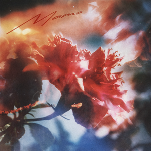 欧美在线观看一区二区三区
